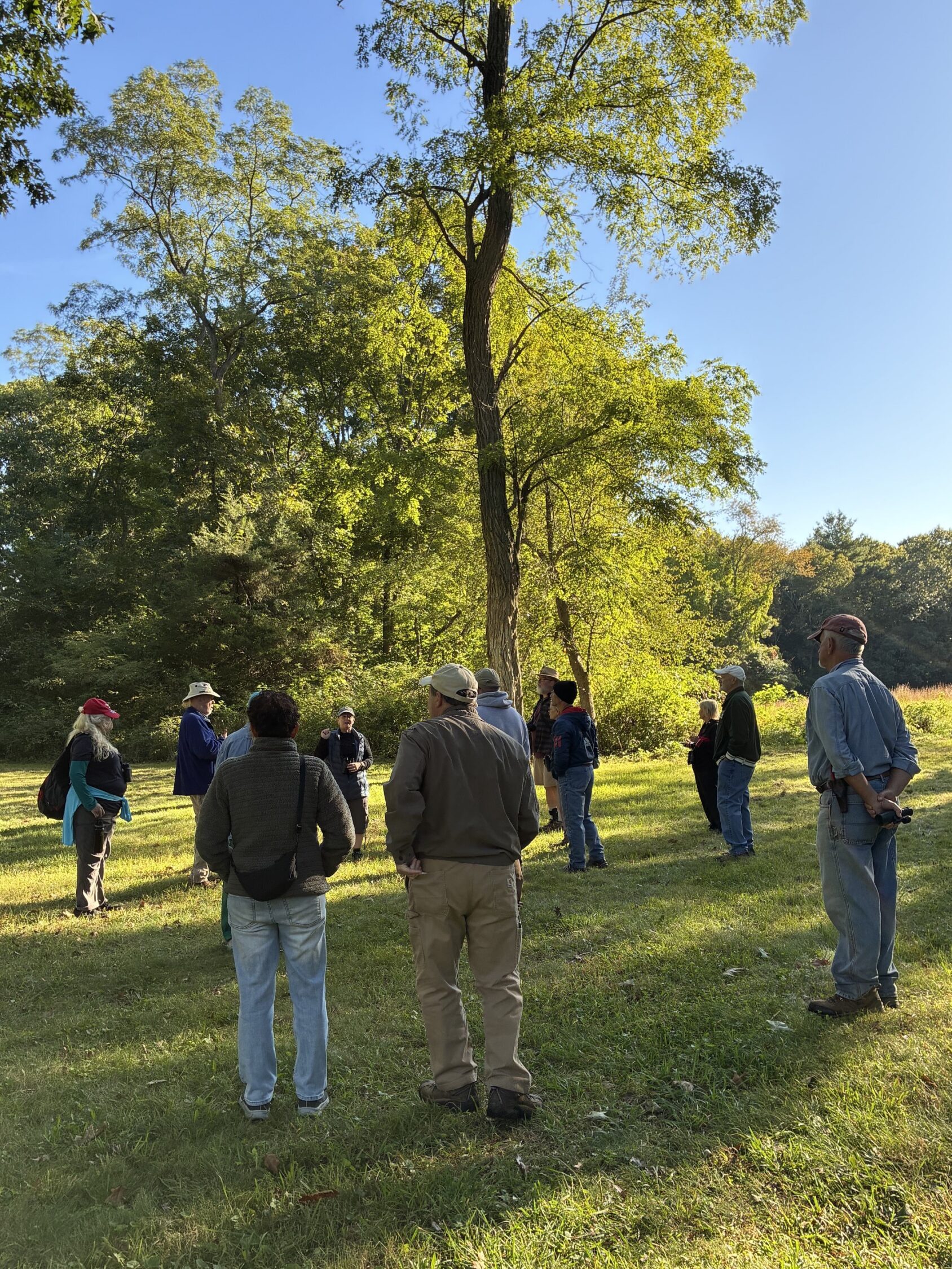A group gathers under a tree.