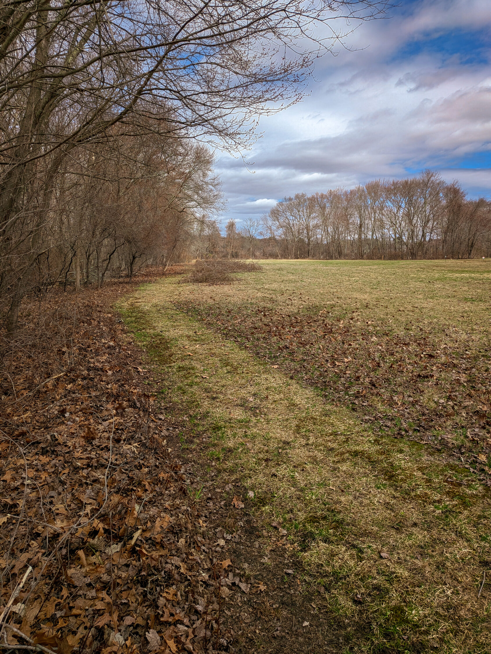 A briar-free walking path at Charron Farm Preserve.