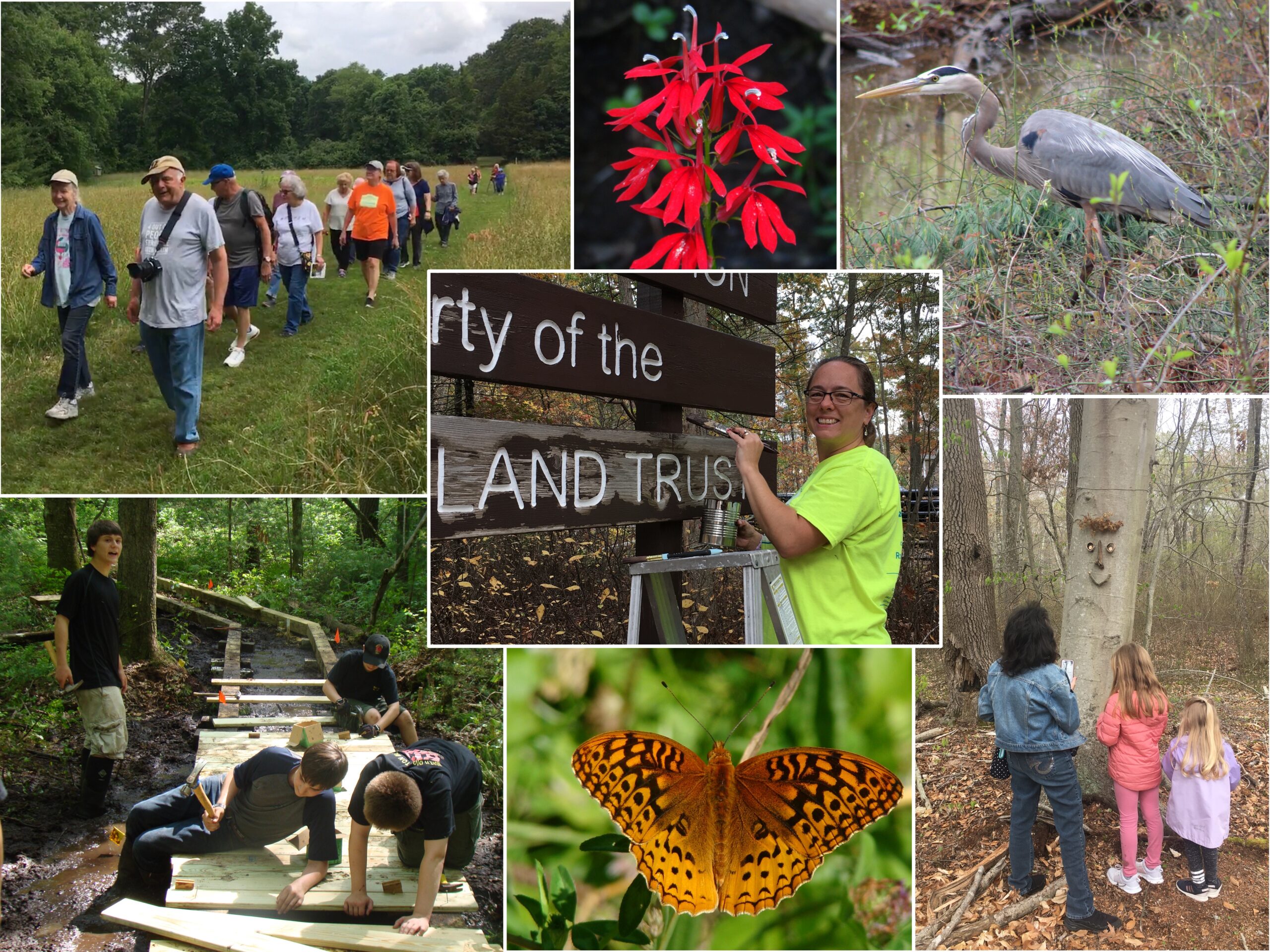 A graphic showing various volunteer activities, butterflies and red flowers