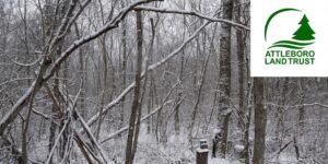 Nature Scavenger Hunt with the Attleboro Land Trust @ Deborah and Roger Richardson Nature Preserve